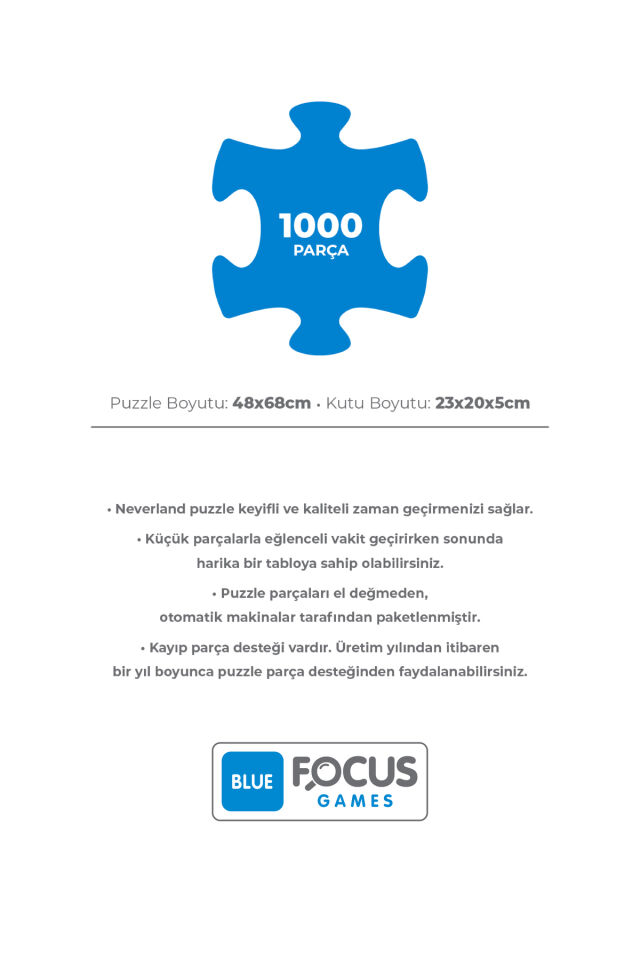 1000 Parça Puzzle -Annecy