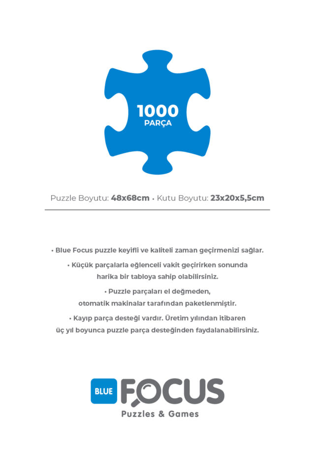 2 Adet 1000 Parça Puzzle - Gezegenler ve Dünya Haritası I