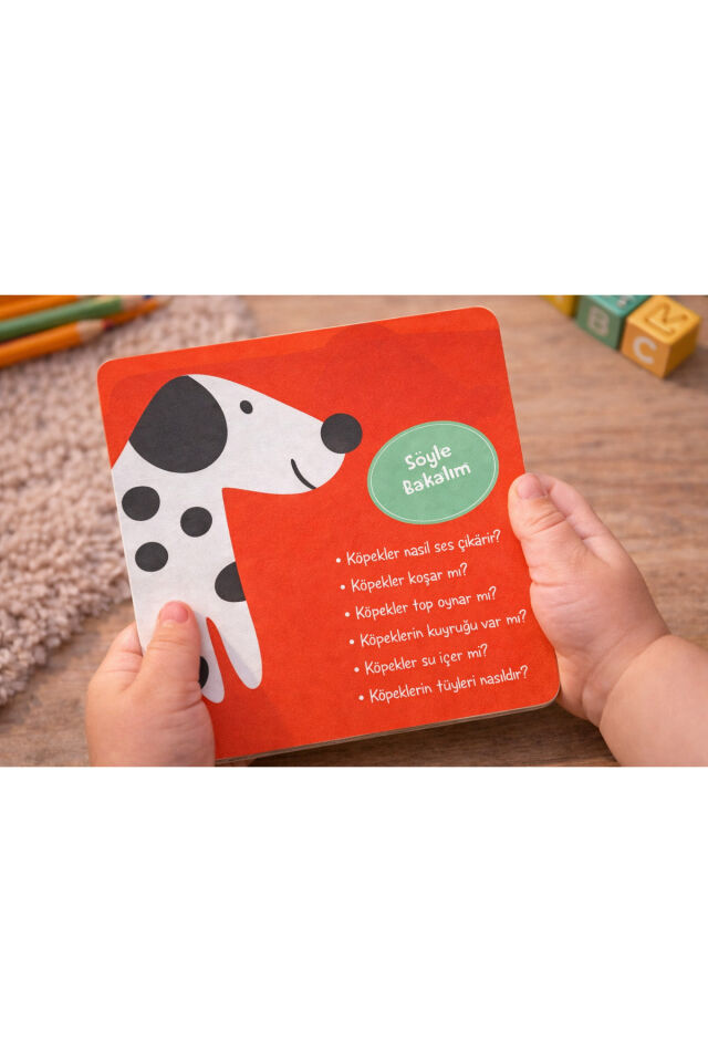DOKUN HİSSET FLASHCARD 12 KART - SEVİMLİ HAYVANLAR