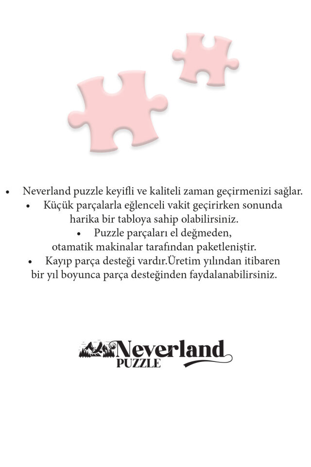 3 ADET 1000 PARÇA PUZZLE - ÖZGÜR AT VE KIZ KULESİ ANILARI VE GÖL MANZARASI