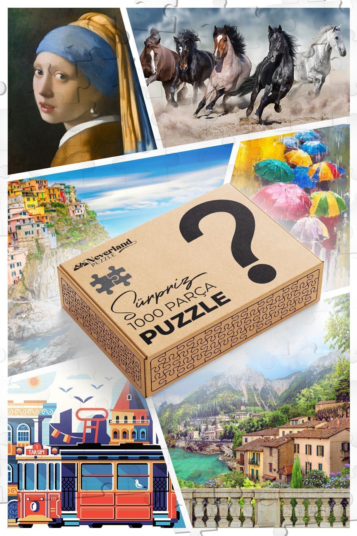 1000 Parça Puzzle - Sürpriz Model